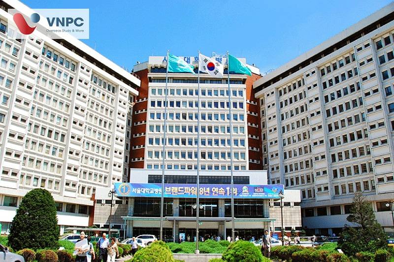 Đăng nhập King88 vina nhận +888K hàn quốc tại seoul